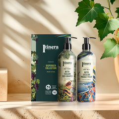 Itinera Scatola Di Presentazione Dispenser - 9Pack