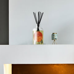Prija 3L Glass Container With Funnel For Room Diffuser - 1Pack