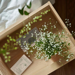 Eco Elements Kit de Couture - Pack de 1000