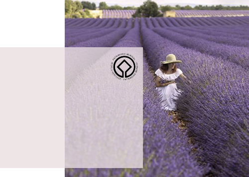 Galimard UNESCO HERITAGE - NOVEMBER 2018, THE UNITED NATION’S CULTURAL AGENCY SAID IT HAD ADDED THE SKILLS LINKED TO CULTIVATING FLOWERS AND BLENDING FRAGRANCES IN GRASSE TO ITS LIST OF PROTECTED TREASURES. GFL FINE PARFUMERY Amenities