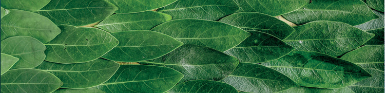 Nordic Ecolabel is a European ecolabelling scheme that evaluates a product’s impact on the environment throughout the whole life cycle. Nordic Ecolabel certifies Rinse-off products as well as lotions. GFL eco friendly toiletries for hotels