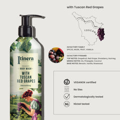 Itinera Dispenser Collection Sample Box - 9Pack