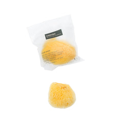 Anyah natural sponge